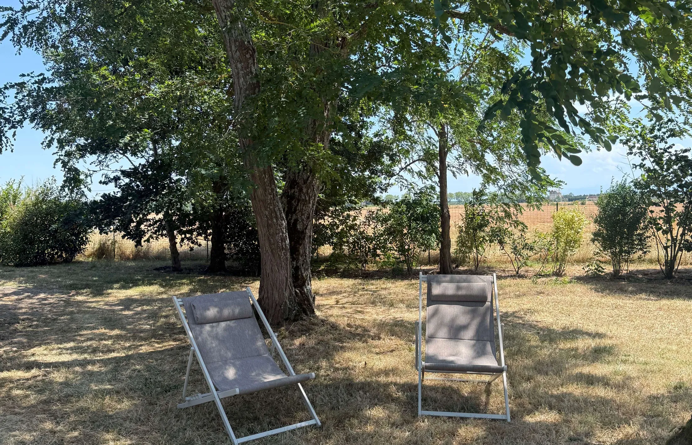 coin détente sous arbre nid douillet