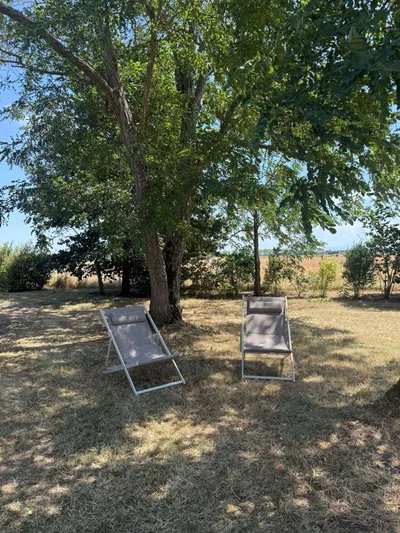 coin détente sous arbre nid douillet
